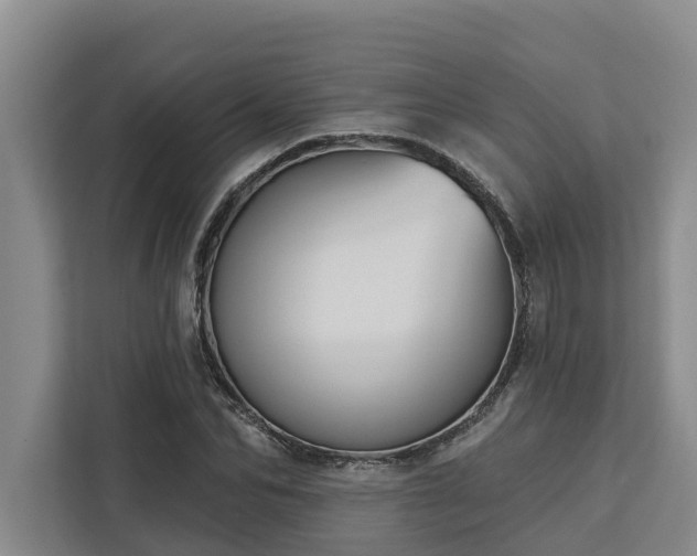 X0000113060974200908281131