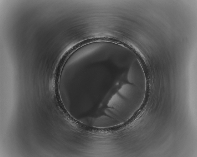 X0000113060975200908281131