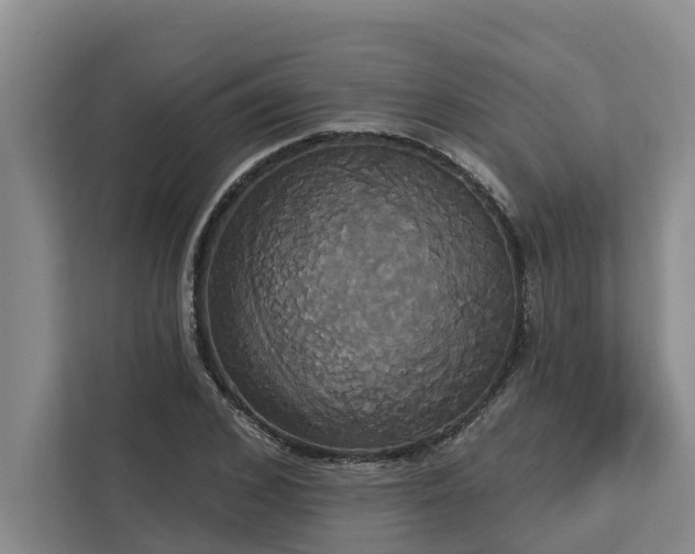 X0000113060976200908281131