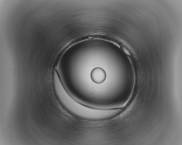 X0000113060977200908281131