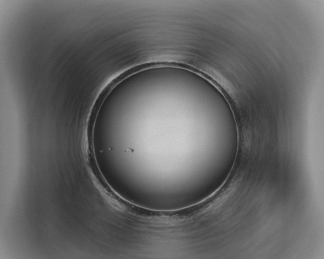 X0000113060980200908281131
