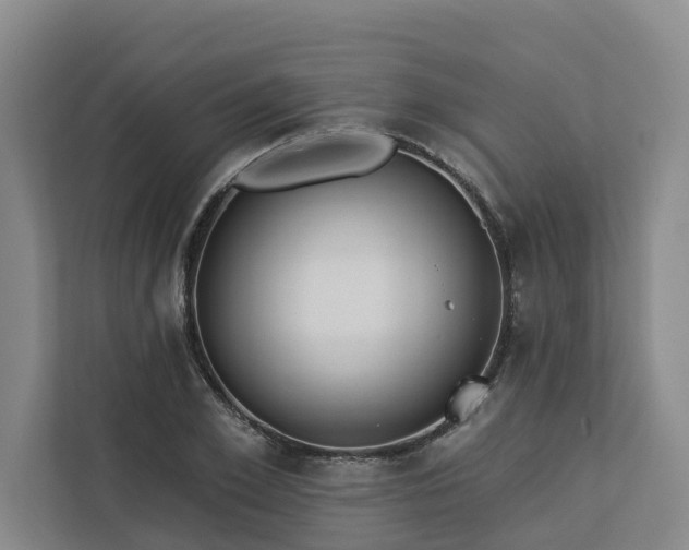 X0000113060981200908281131