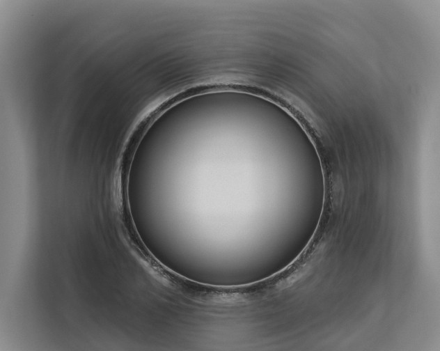 X0000113060982200908281131