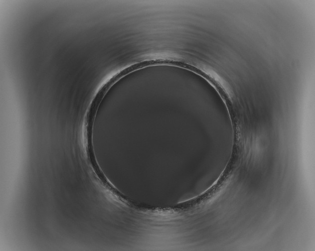 X0000113060983200908281131