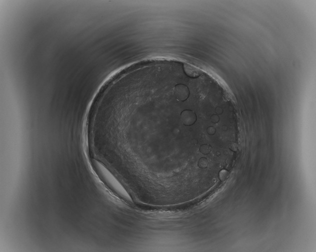 X0000113060984200908281131