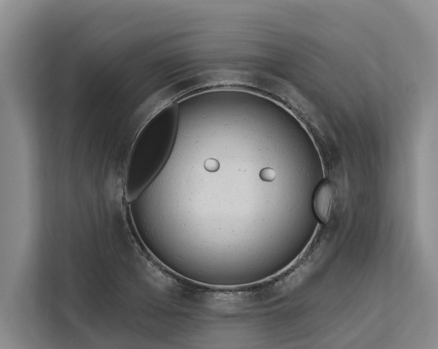 X0000113060985200908281131