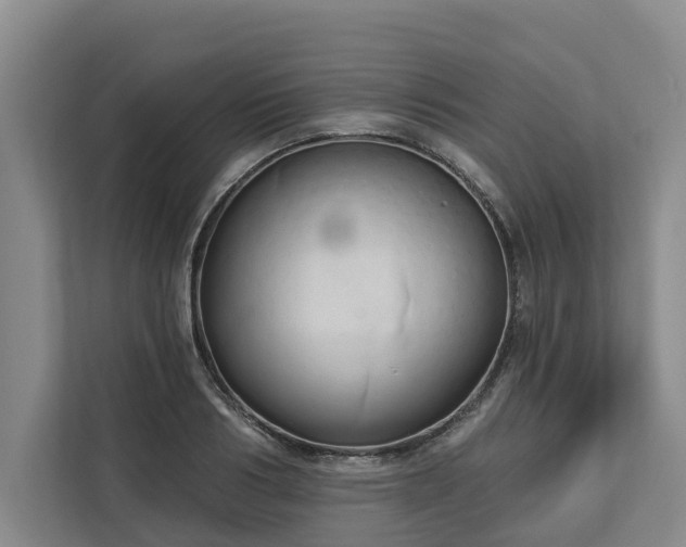 X0000113060986200908281131