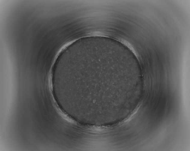 X0000113060987200908281131