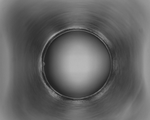 X0000113060988200908281131