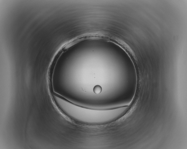 X0000113060989200908281131