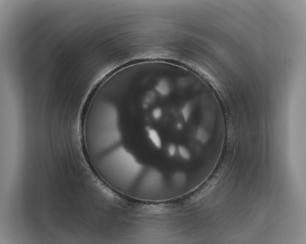 X0000113060990200908281131