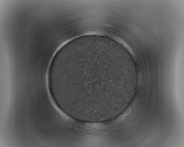 X0000113060991200908281130