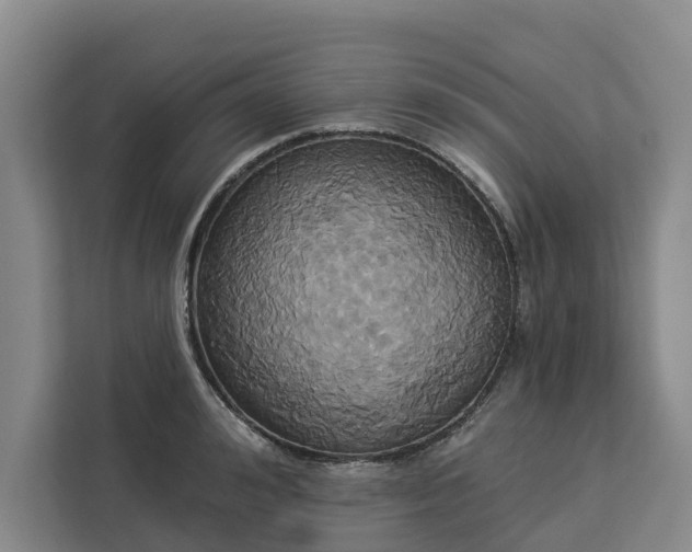 X0000113060992200908281130