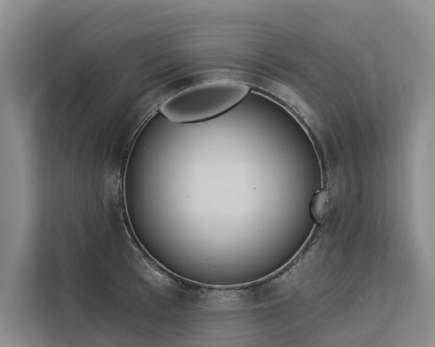 X0000113060993200908281130