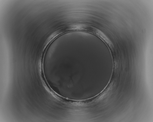 X0000113060994200908281130