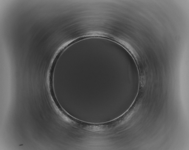 X0000113060995200908281130