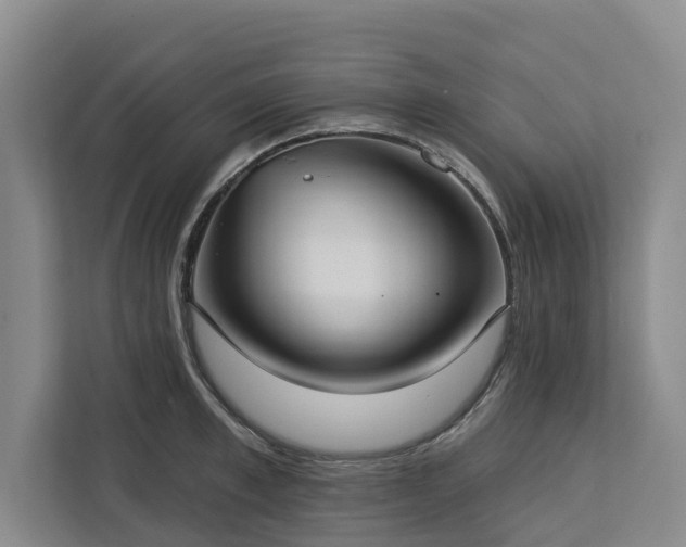 X0000113060997200908281130
