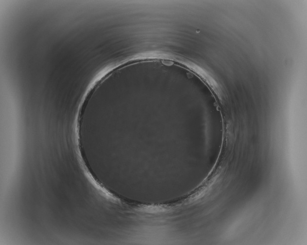 X0000113060998200908281130