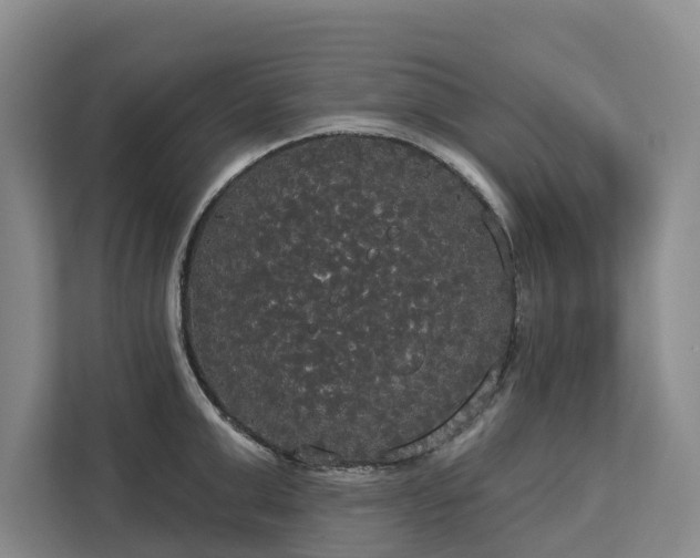 X0000113060999200908281130