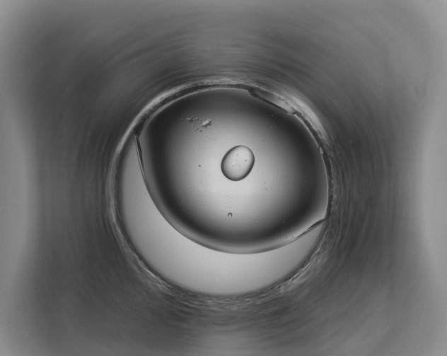 X0000113061000200908281130
