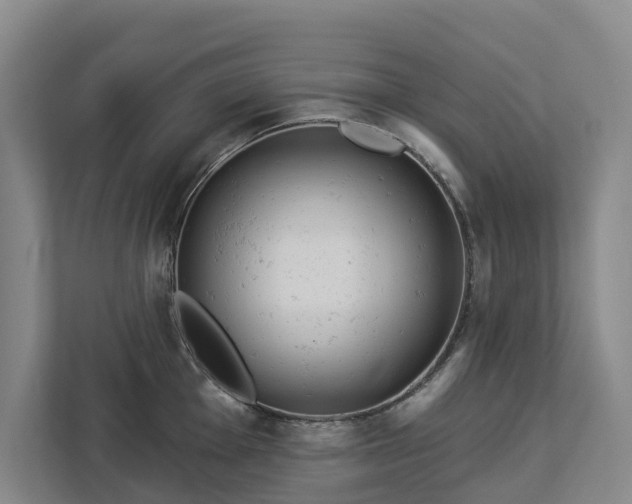 X0000113061001200908281130