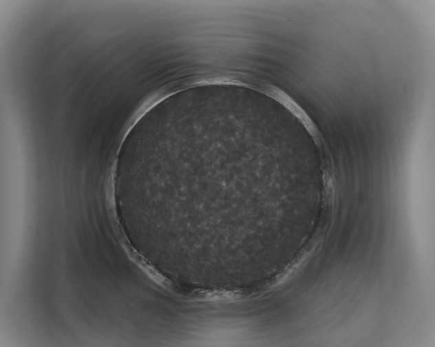 X0000113061002200908281130