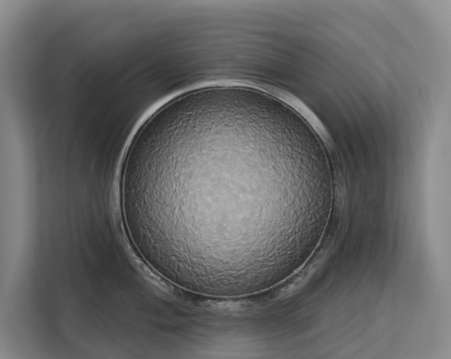 X0000113061004200908281130