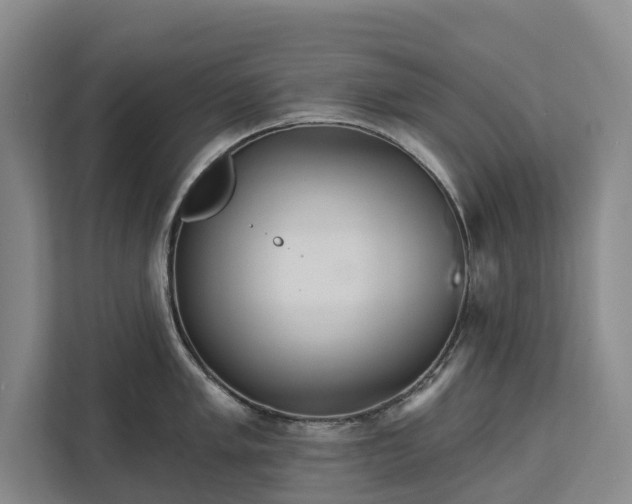 X0000113061005200908281130