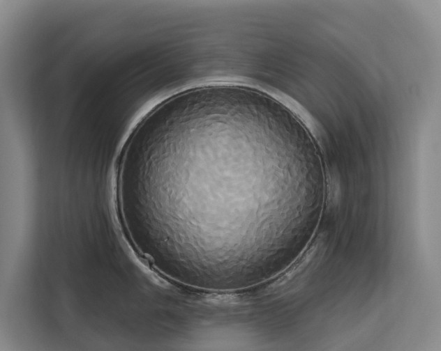 X0000113061006200908281130