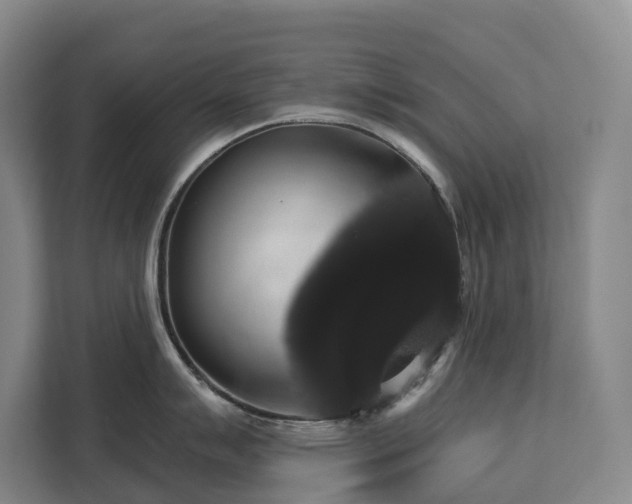 X0000113061007200908281130