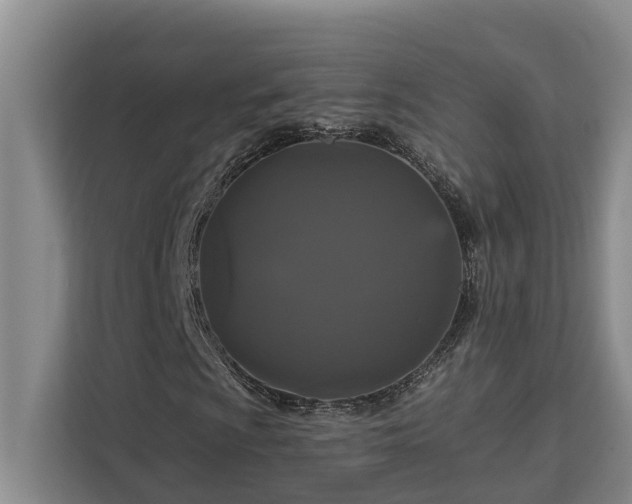 X0000113061009200908281130
