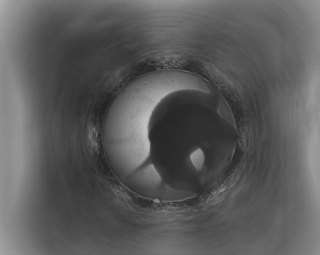 X0000113061010200908281130