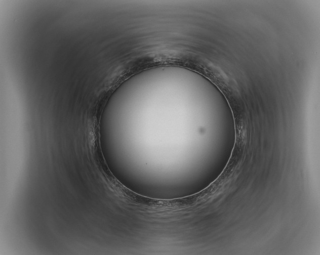 X0000113061012200908281130