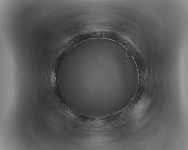 X0000113061013200908281130