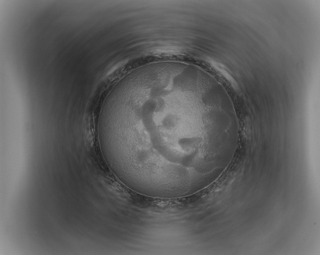 X0000113061015200908281130