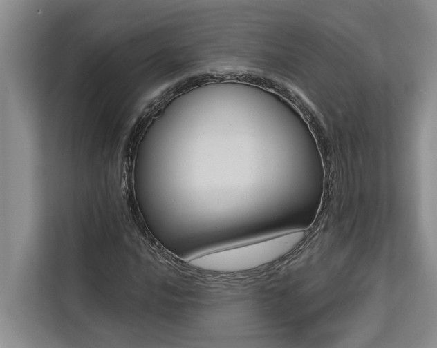 X0000113061016200908281130