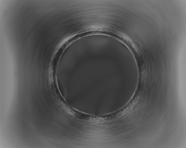X0000113061019200908281130