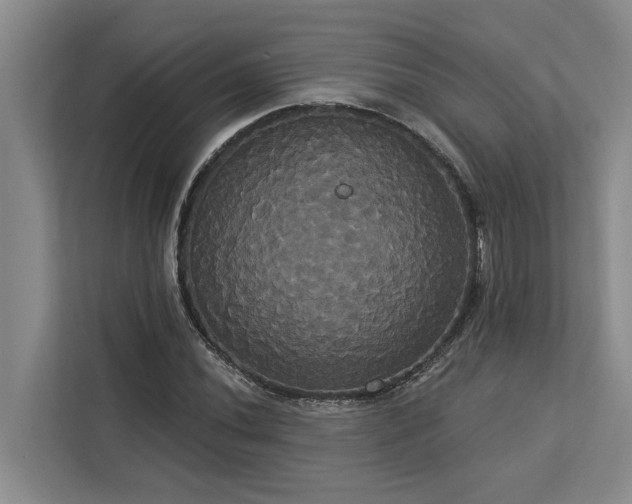 X0000113061020200908281130