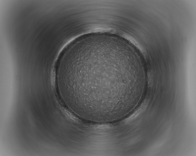 X0000113061021200908281130