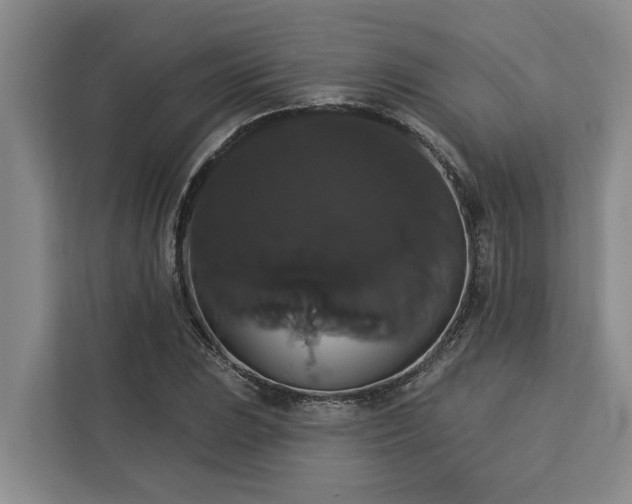 X0000113061023200908281130