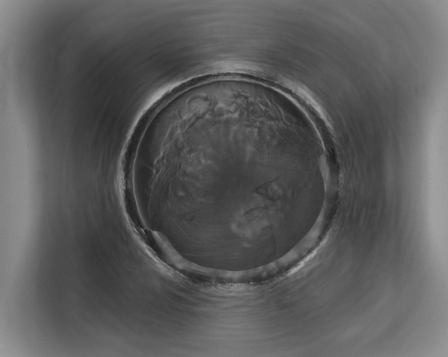 X0000113061024200908281130