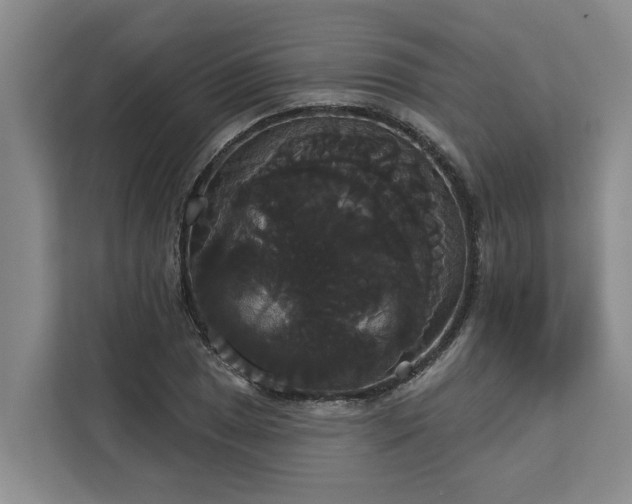 X0000113061025200908281130