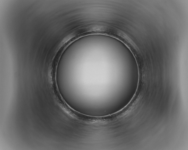 X0000113061026200908281130