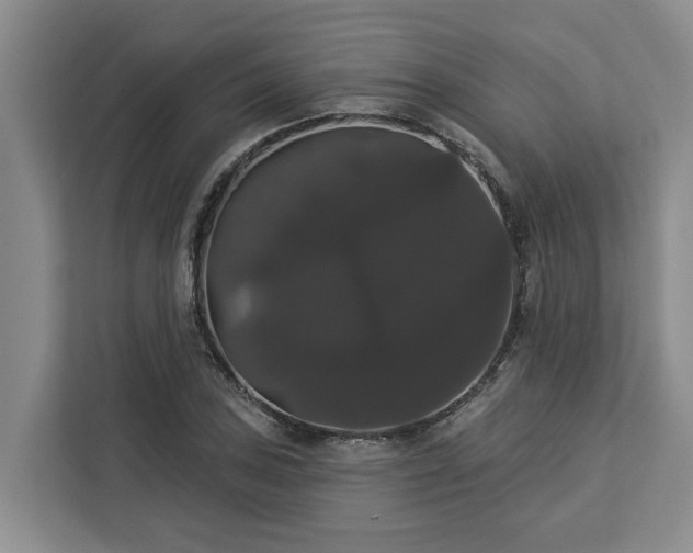 X0000113061027200908281130