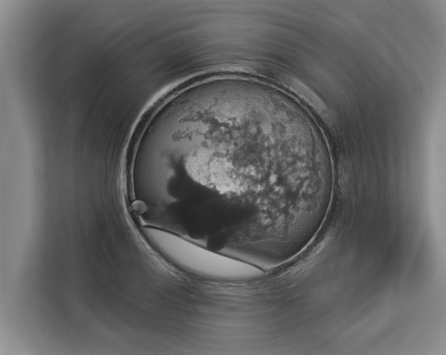X0000113061028200908281130