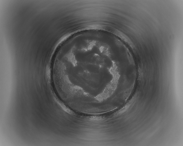 X0000113061029200908281130