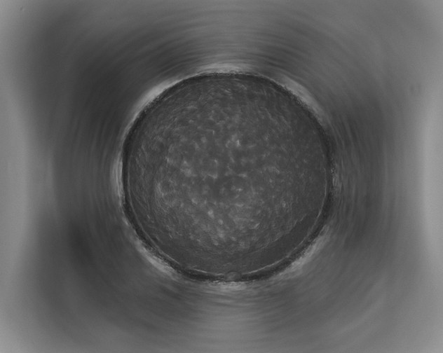 X0000113061030200908281130