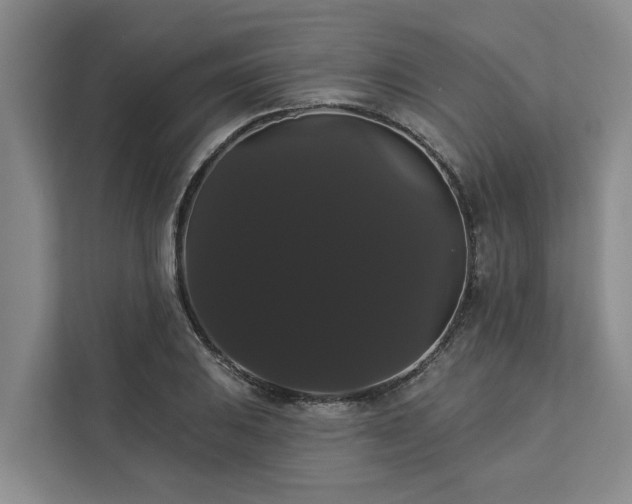 X0000113061031200908281130