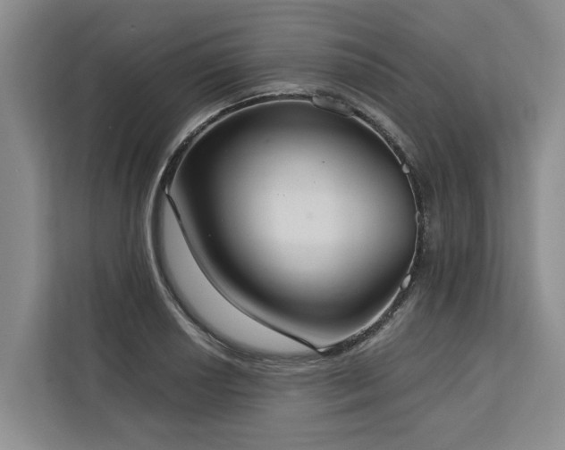 X0000113061034200908281130