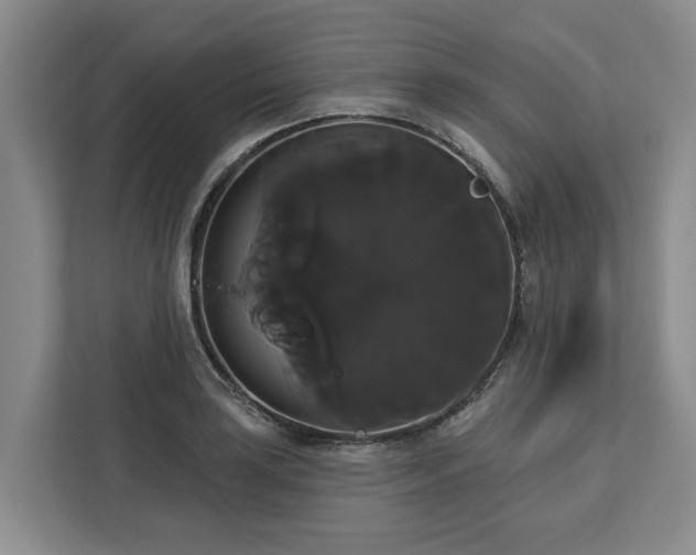 X0000113061035200908281130